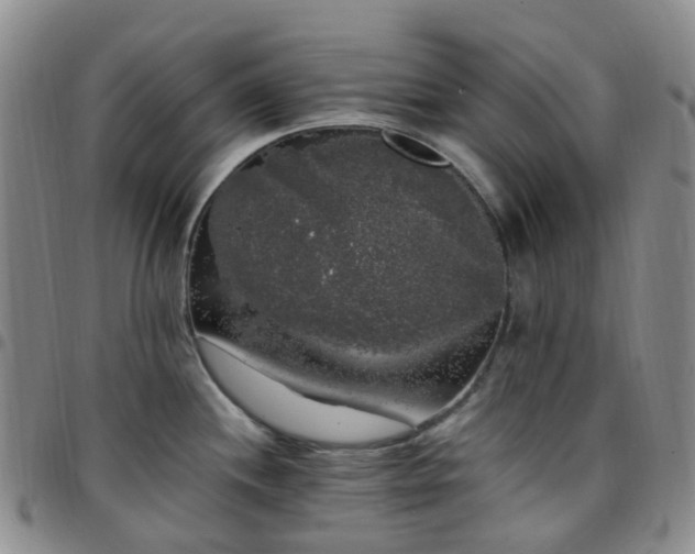 X0000097791244200803141822