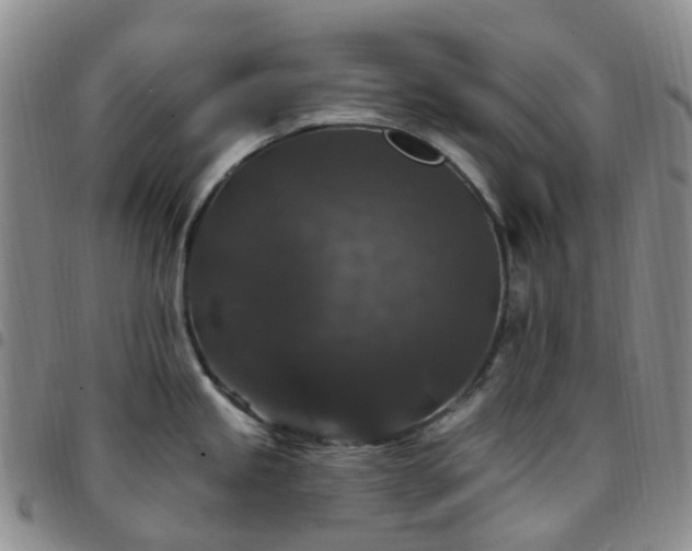 X0000097791245200803141822