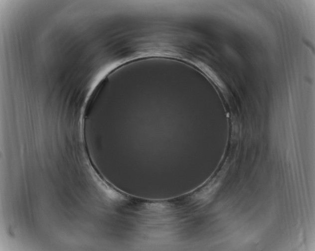 X0000097791246200803141822