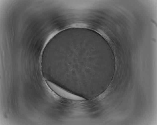 X0000097791248200803141822