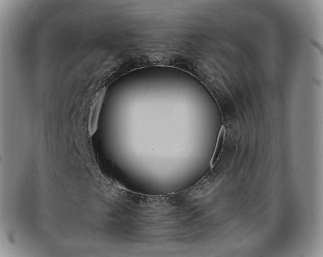 X0000097791249200803141821