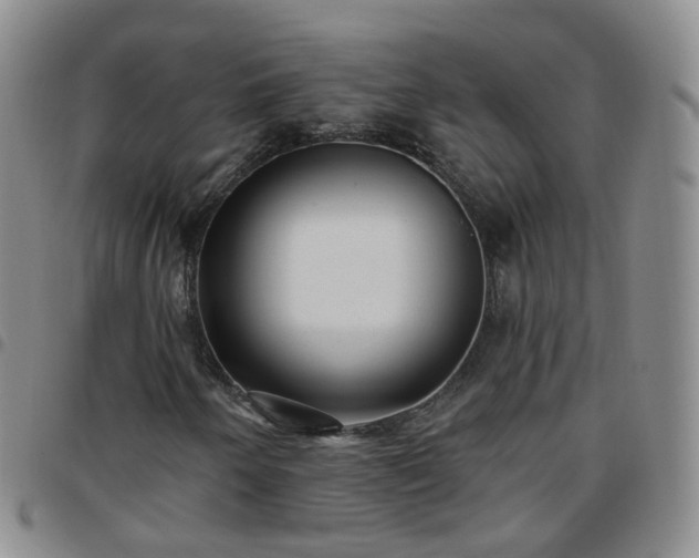 X0000097791250200803141821