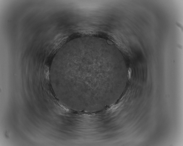 X0000097791251200803141821