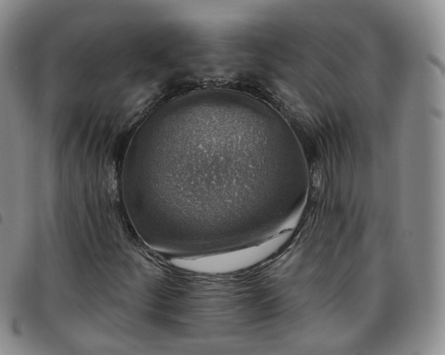 X0000097791252200803141821
