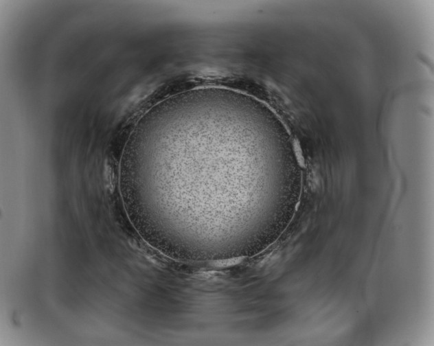 X0000097791253200803141821