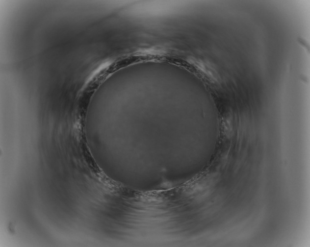 X0000097791254200803141821