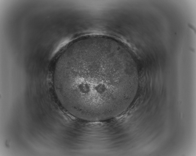 X0000097791255200803141821