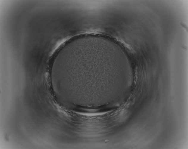 X0000097791256200803141821