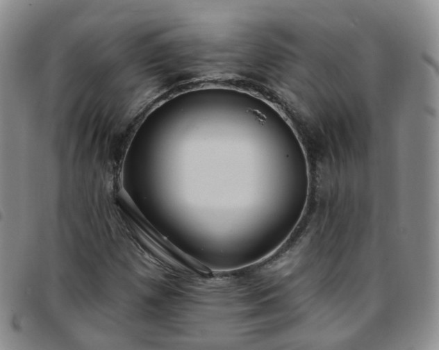 X0000097791257200803141821