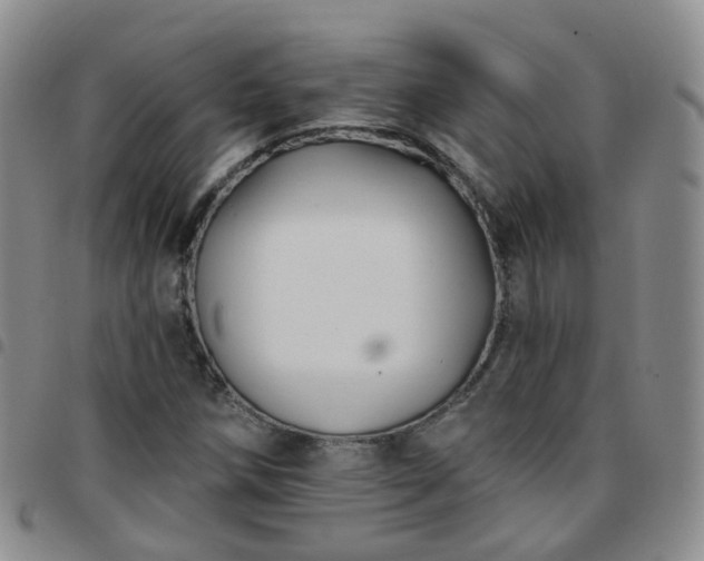 X0000097791258200803141821