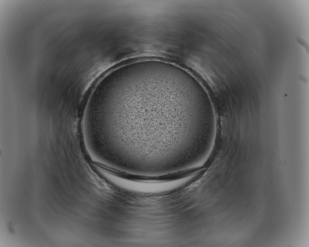 X0000097791260200803141821