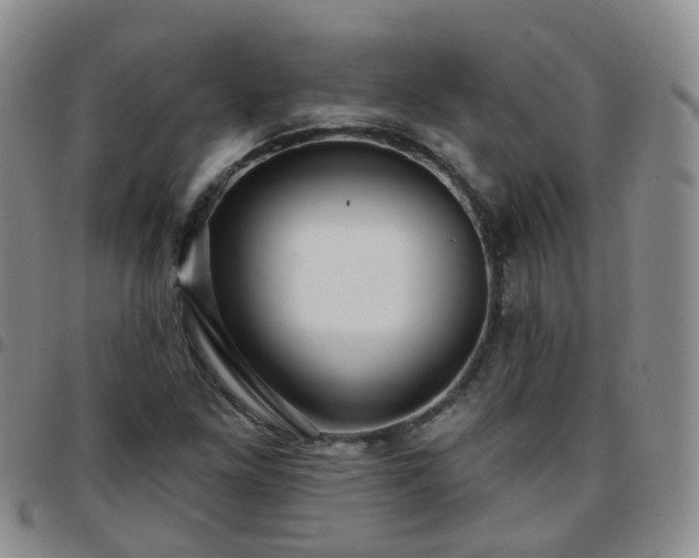 X0000097791261200803141821