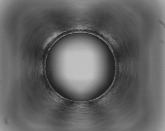 X0000097791262200803141821