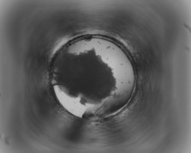 X0000097791263200803141821