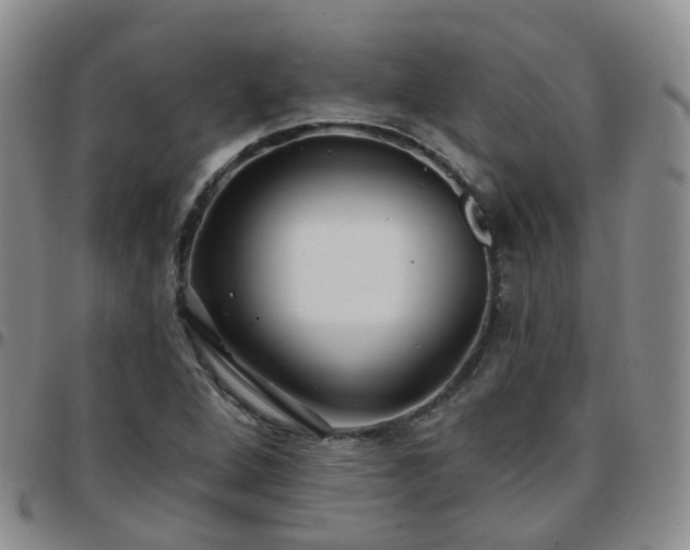 X0000097791264200803141821