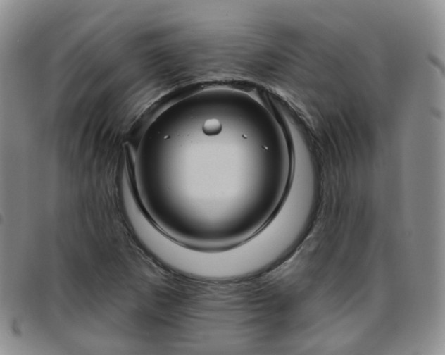 X0000097791265200803141821