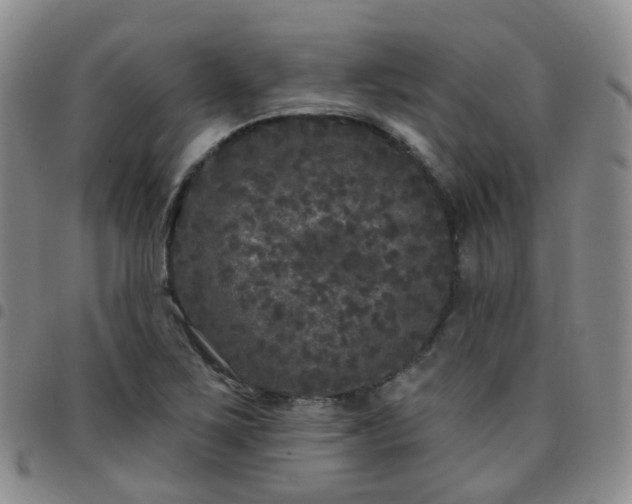 X0000097791267200803141821