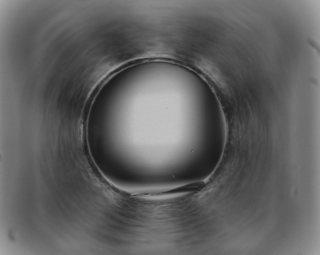 X0000097791268200803141821