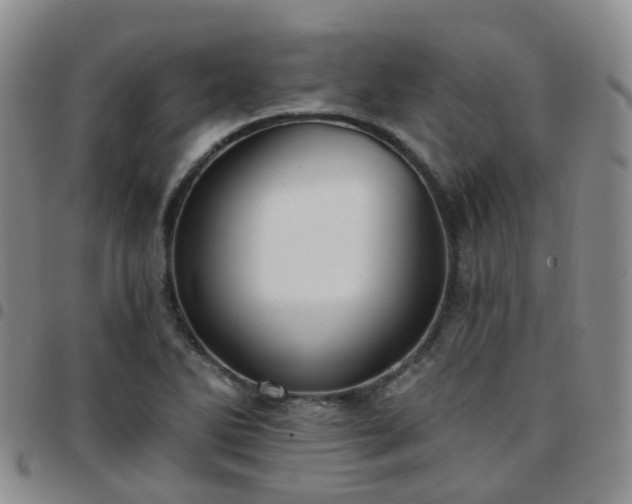 X0000097791270200803141821