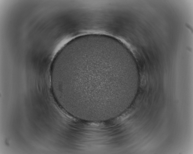 X0000097791271200803141821