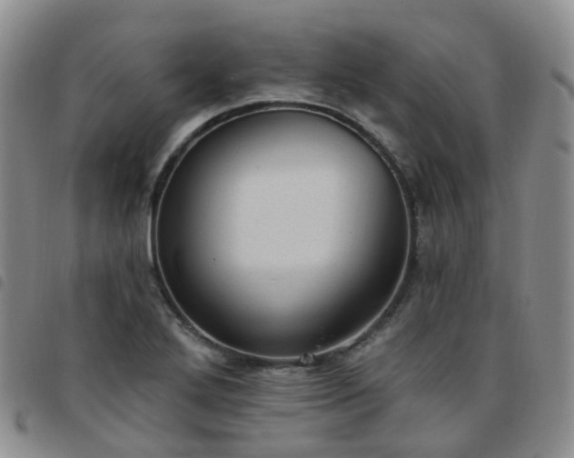 X0000097791272200803141821