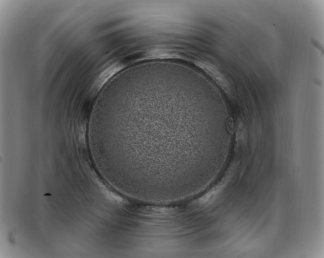 X0000097791273200803141821
