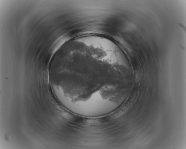 X0000097791274200803141821