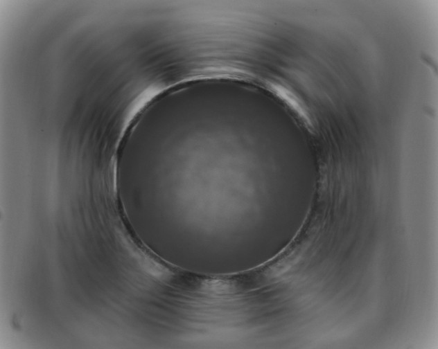 X0000097791275200803141821
