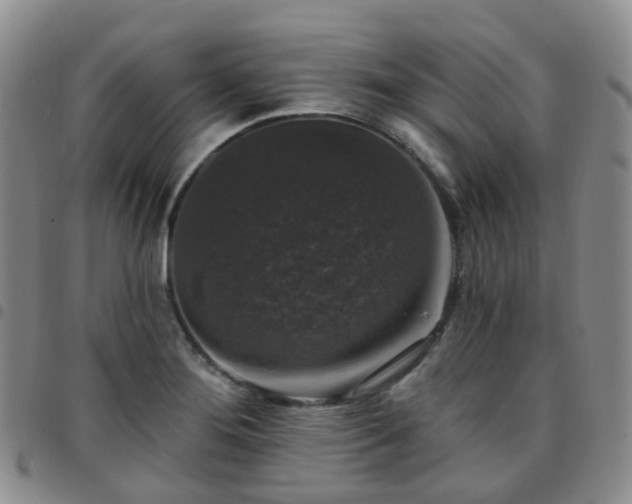 X0000097791276200803141821