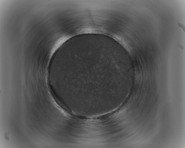 X0000097791277200803141821