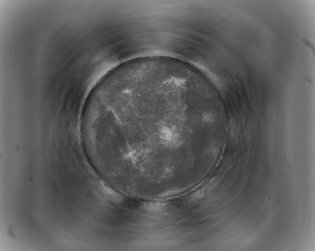 X0000097791278200803141821