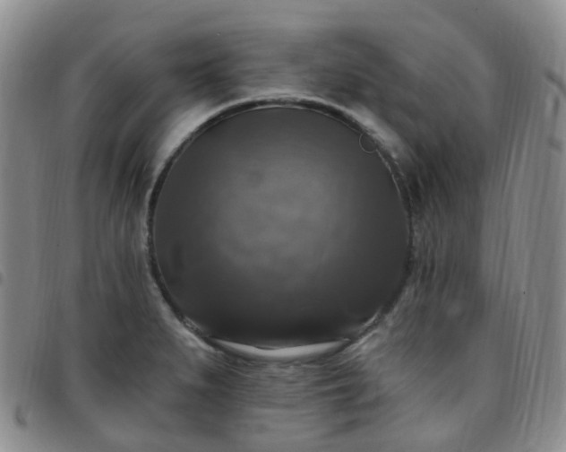 X0000097791279200803141821