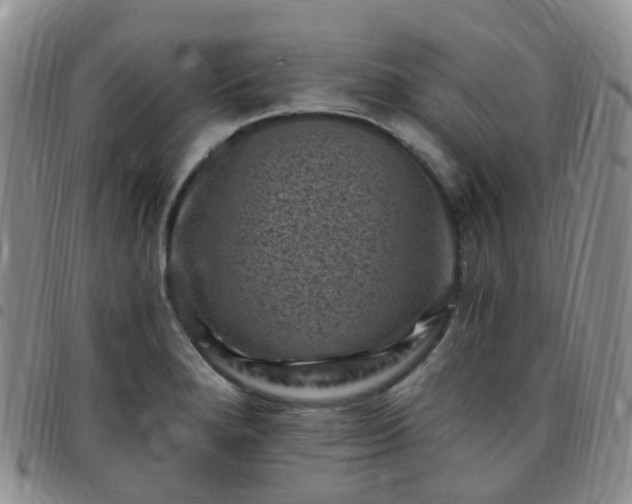 X0000097791280200803141821