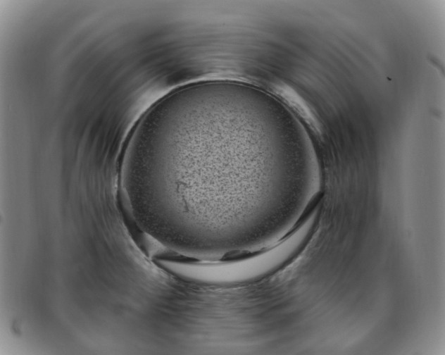 X0000097791284200803141821