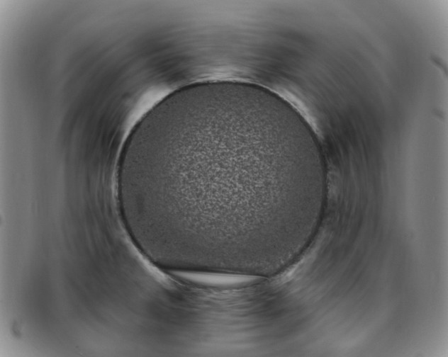 X0000097791285200803141821