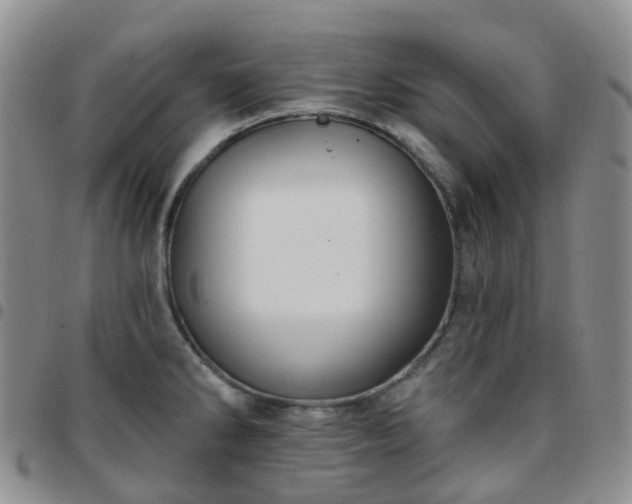 X0000097791286200803141821