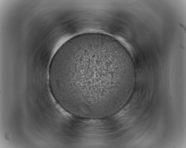 X0000097791287200803141821