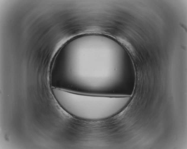 X0000097791288200803141821