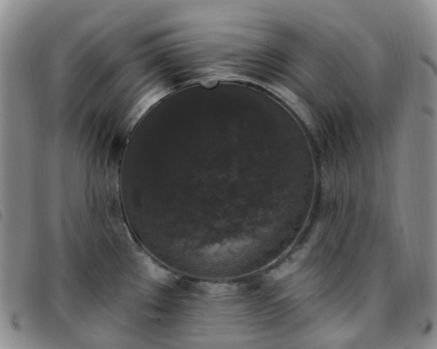 X0000097791289200803141821