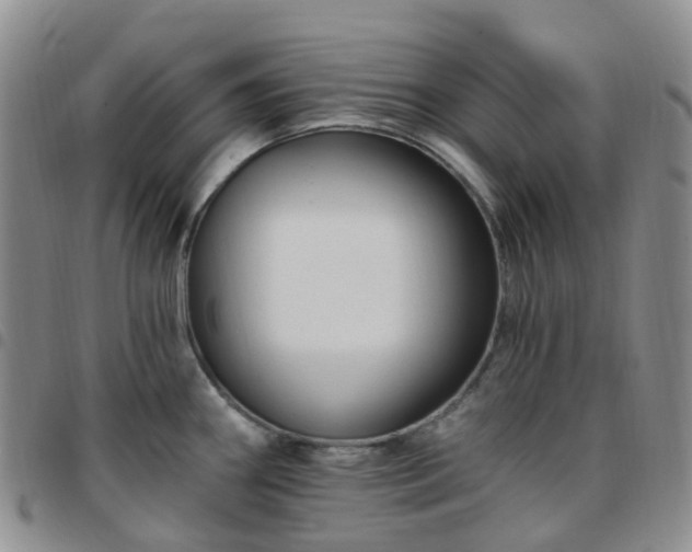 X0000097791290200803141821