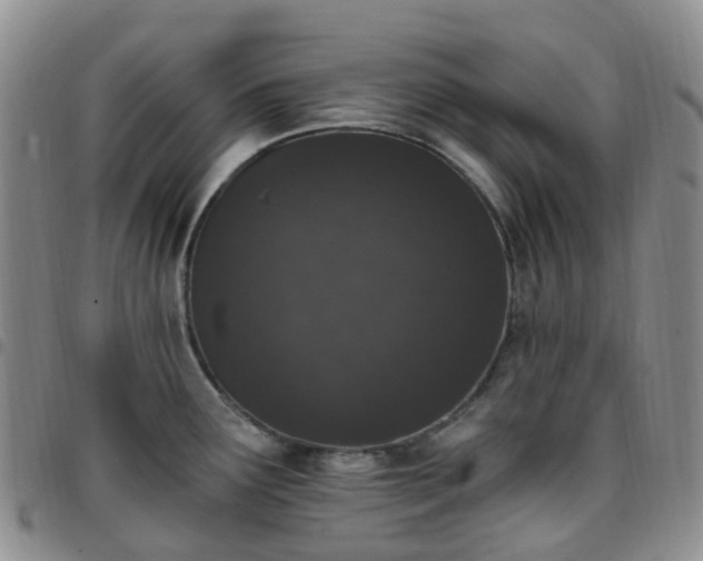 X0000097791291200803141821