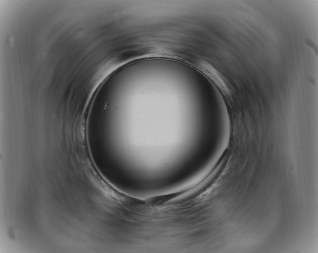 X0000097791292200803141821