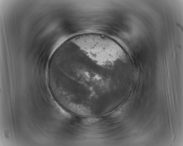X0000097791294200803141821