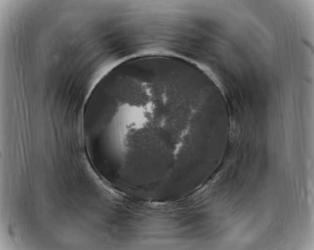 X0000097791295200803141821