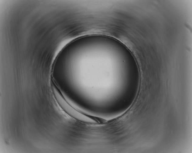 X0000097791296200803141821