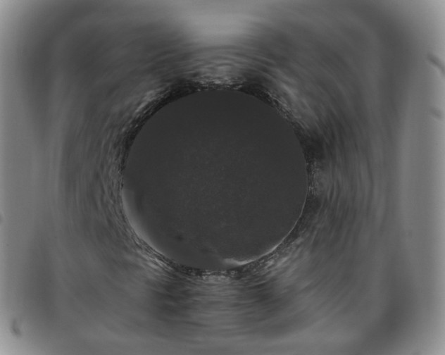 X0000097791297200803141820