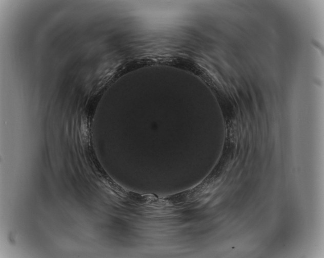 X0000097791298200803141820