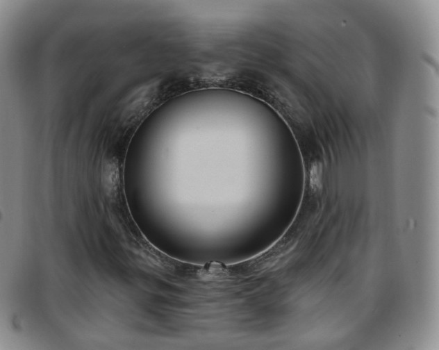 X0000097791299200803141820