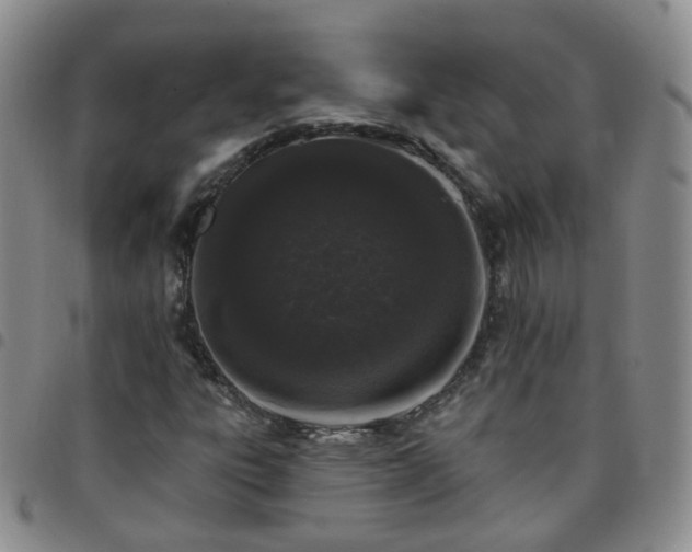 X0000097791303200803141820