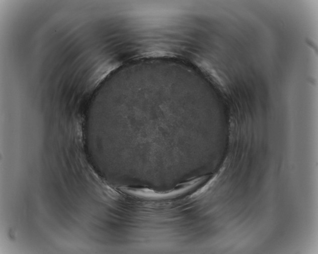 X0000097791305200803141820